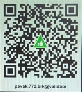 UPI QR code for pavak.772.brk@validboi; the UPI ID is also printed beside it